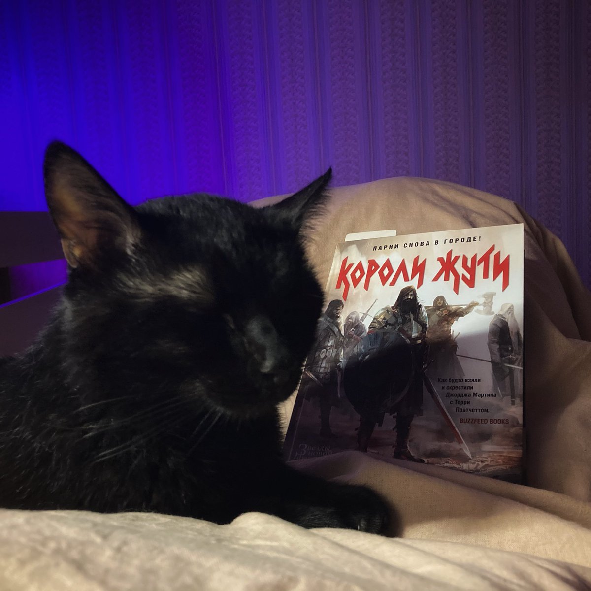 B_bookhead's tweet photo. Начала читать «Короли Жути» Николаса Имса. За 120 страниц успела поплакать и посмеяться в голос. Написано интересно, знакомство с персонажами и сама история увлекательны. 
Н�� Филиус не очень доволен, что ему уделяют мало внимания. https://t.co/bTfjl2BIkk