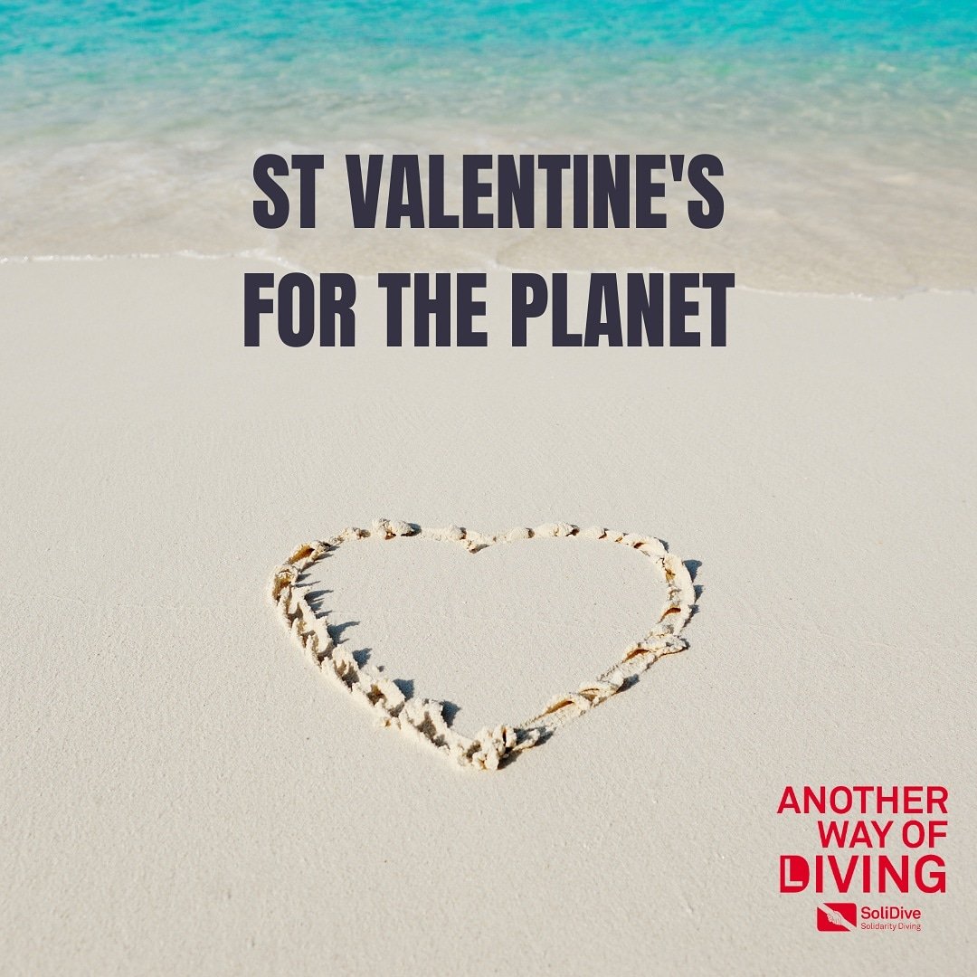 SoliDive (@solidive) on Twitter photo 