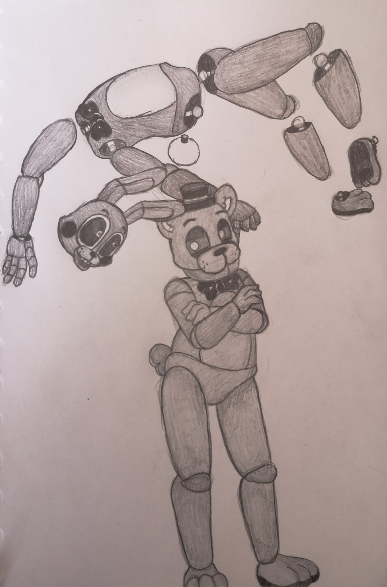 I just happened to get Shadow Freddy and Shadow Bonnie in one