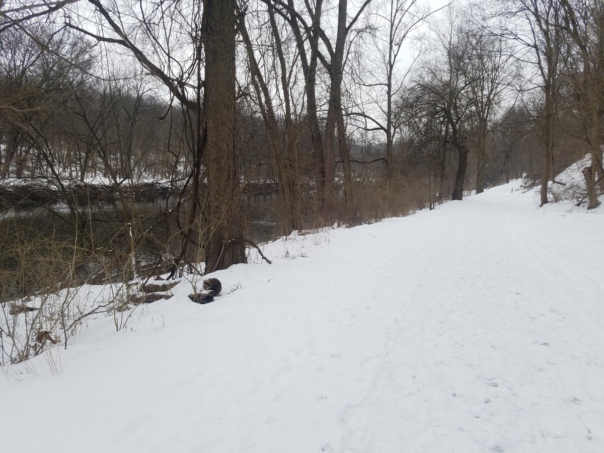 And, this is just the riverfront. And historic Rockford.And my wife trying to get a cool picture. 