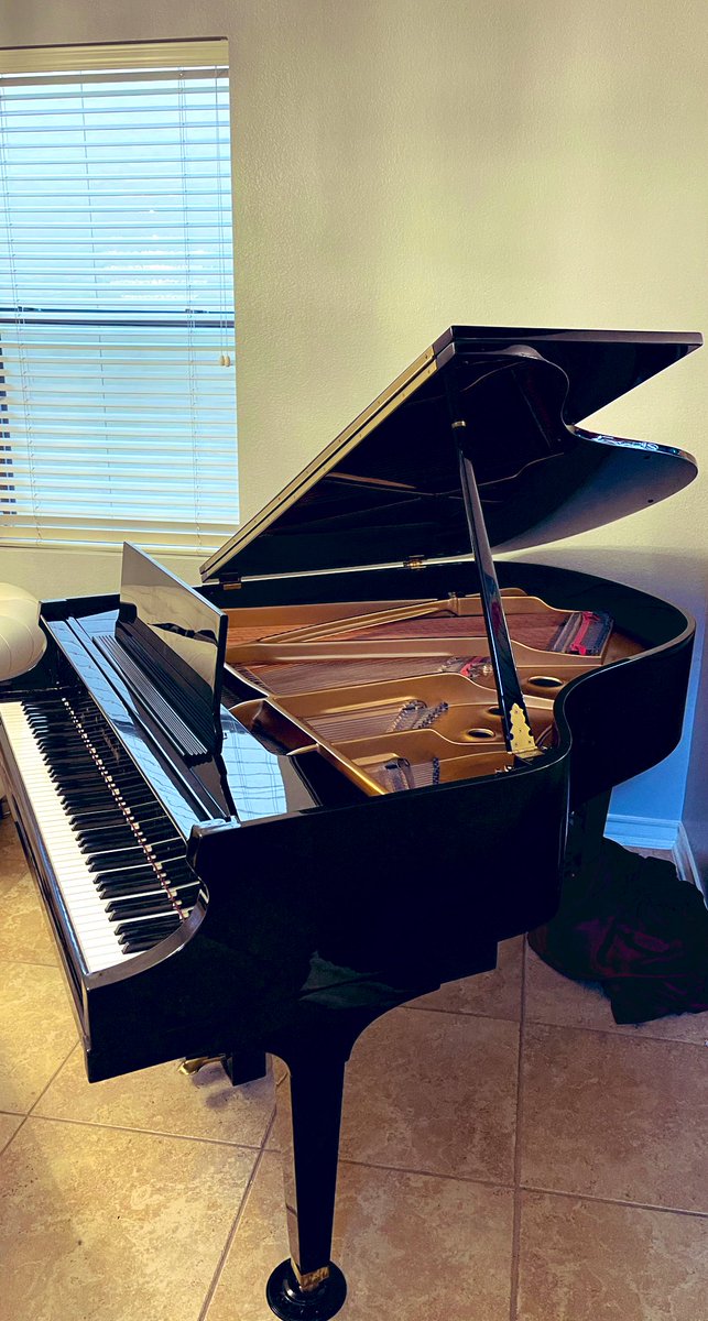 frankgzz27's tweet image. el nuevo inquilino #pianoTime 🎹 🎹 🎹