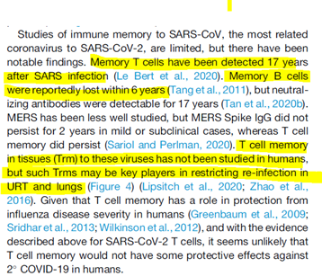35/n On a pu observer des LT mémoire persistant 17 ans après une infection par le SARS. En cas d'infection légère ou asymptomatique, les anticorps contre le Spike déclinent en moins de deux ans mais les LT peuvent persister pendant plusieurs années.