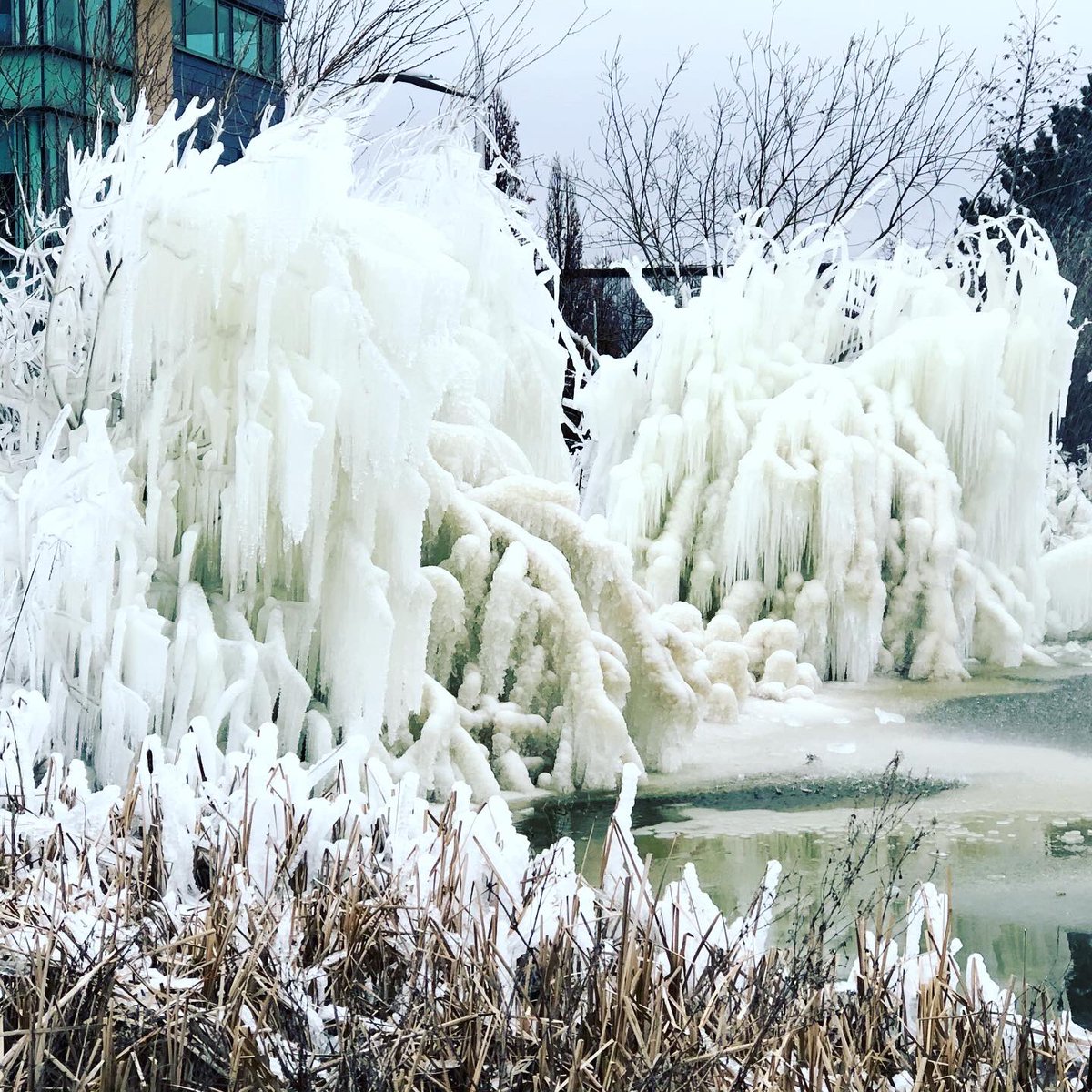 Freezing fountain spray in Wakefield <a href="/Hudsonweather/">Paul Hudson</a> ❄️❄️❄️