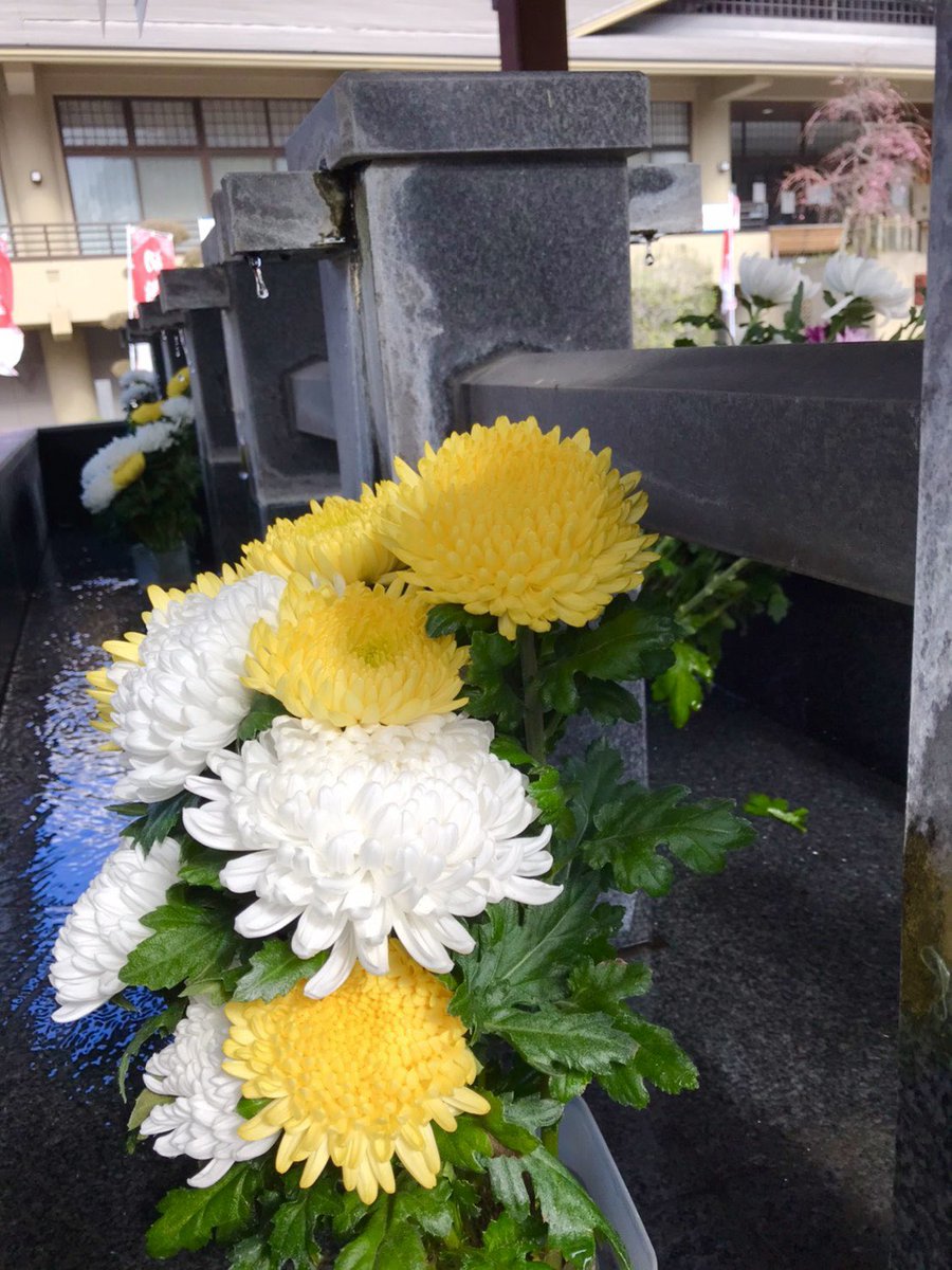 鹿児島県護国神社 手水舎は綺麗な花で 花手水 に仕立てられております 鹿児島市伊敷の フラワーショップ花邑 さんから御奉納頂きました 心身ともに清められますね 花手水 鹿児島県護国神社 花邑 手水舎