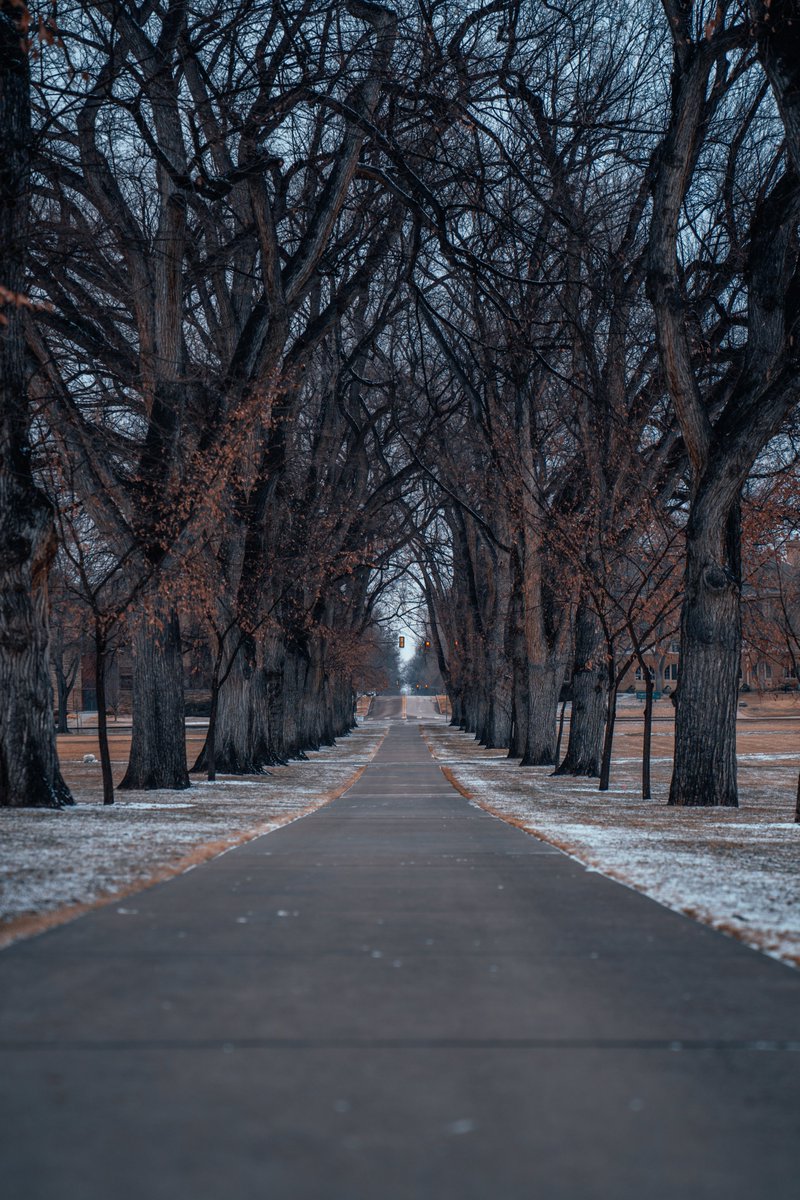 CSU will close on Mon., Feb. 15. All in-person, hybrid &amp; remote classes &amp; operations (meetings/work functions) are closed/canceled due to extreme cold weather moving into the region. Facilities Management is asking that individuals avoid coming onto campuses &amp; entering buildings.