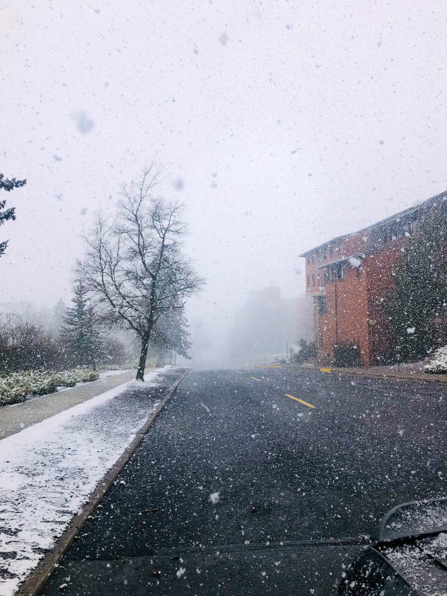 AvaSullivan2000's tweet photo. Excited to share 4 of my favorite photos from my photo shoot I took on a snowy day at WSU campus for my COM 210 Cougs Cancel Covid Promo project! #MurrowUGLife #com210 #project2 https://t.co/TdyjwVKeqs