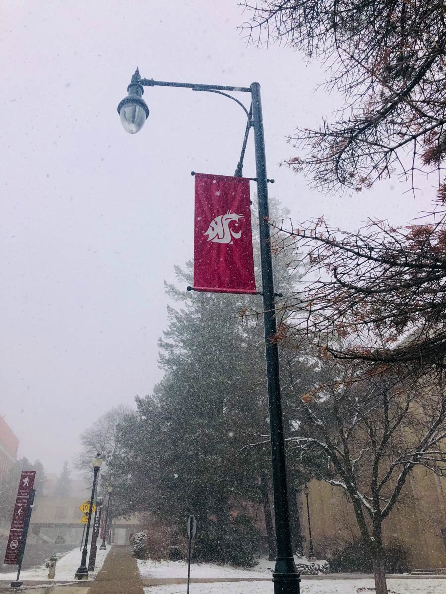 AvaSullivan2000's tweet photo. Excited to share 4 of my favorite photos from my photo shoot I took on a snowy day at WSU campus for my COM 210 Cougs Cancel Covid Promo project! #MurrowUGLife #com210 #project2 https://t.co/TdyjwVKeqs