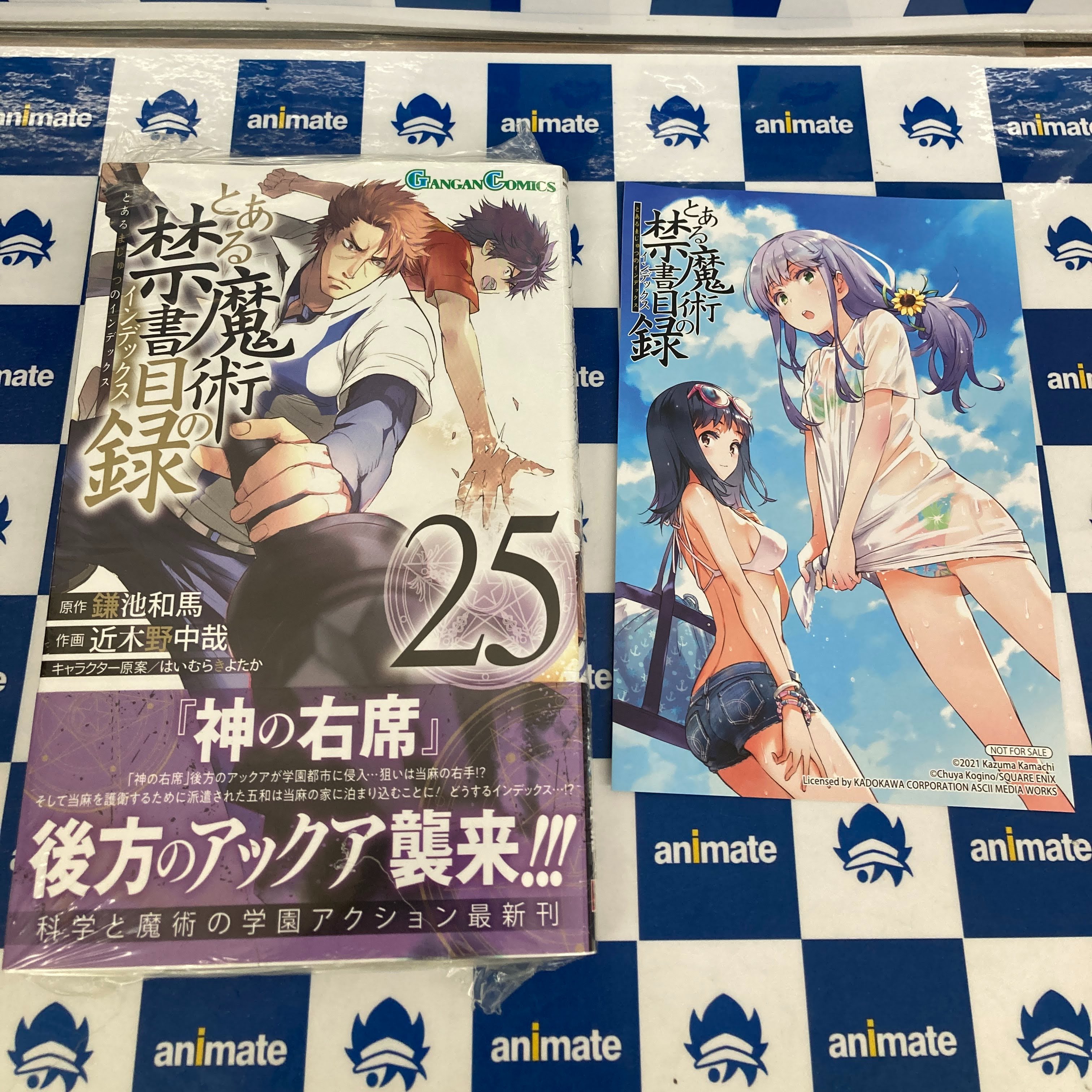 アニメイト旭川 Pa Twitter 書籍入荷情報 とある魔術の禁書目録 25巻 不機嫌なモノノケ庵 17巻 私がモテないのはどう考えてもお前らが悪い 19巻 合コンに行ったら女がいなかった話 1巻 乙女ゲーム六周目 オートモードが切れました 1 巻