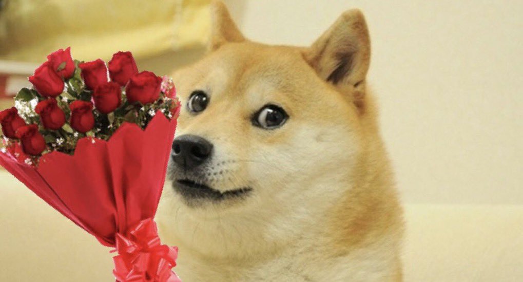 LatinosparaIT's tweet photo. Happy valentines Mis Amores https://t.co/jVPQVyg6XD