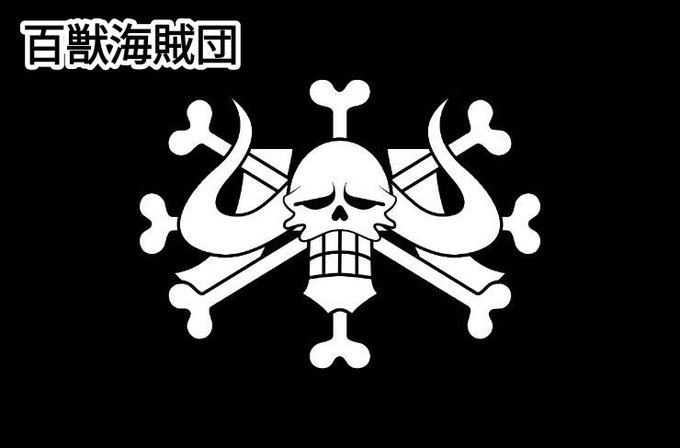 ワンピース 百獣海賊団のメンバーまとめ 強さや組織図も紹介 7ページ目 Selvy