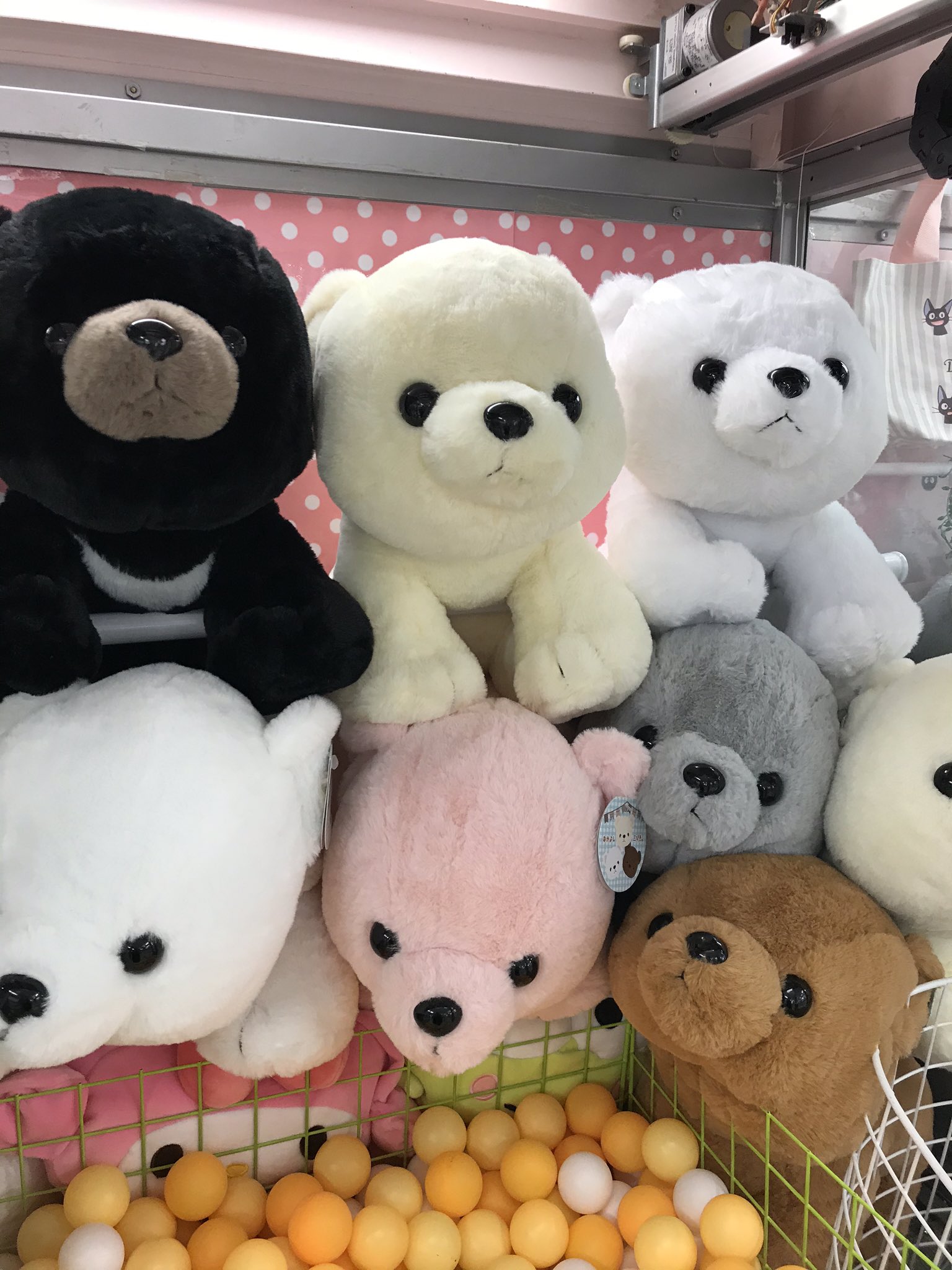 ハピピランド小樽店 Hapipiland H05 Twitter
