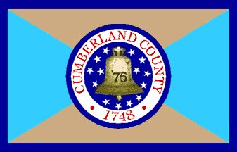 CUMBERLAND COUNTY: Holy hell. The buff and blue is for the Continental soldiers uniforms. Awesome. The dark blue is for the Delaware and bay. Solid. Then this guy just concocted his own ridiculous seal to slap on top of it? Not even real. He just invented it to ruin his own flag.
