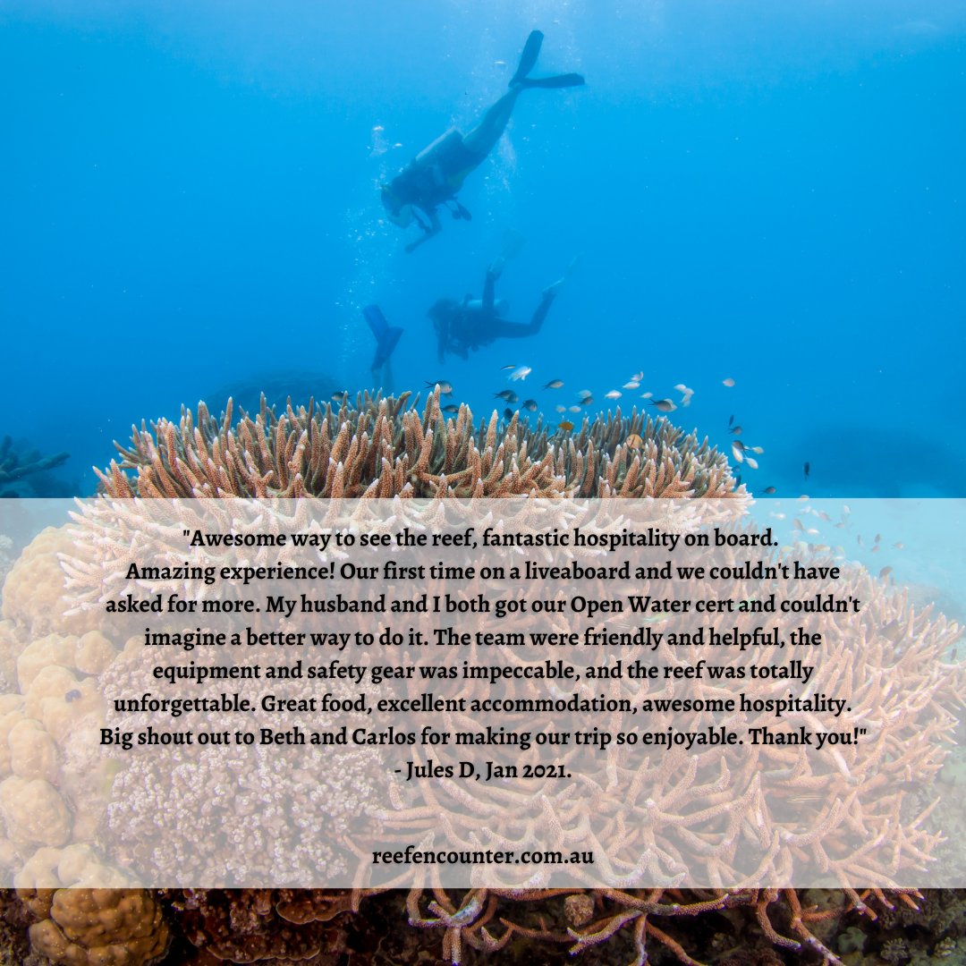 💕Love Love Love 💕 seeing great feedback from guests! Why not come check it out for yourself! 
🖱 l8r.it/R09L
☎️  (07)4037 2700
 #reefencounter #floatinghotel #sleeponthereef #bestcrewonthereef #holidayherethisyear 
#fnq #snorkel #diving #discover #ocean #travel