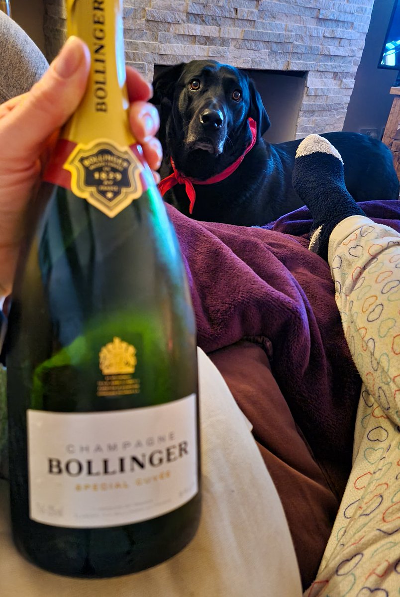CoopertheLab1's tweet photo. Happy Valentines Day... apparently my taste isn't refined enough for champagne, but I do have a penchant for mud, sticks, dog butt and peanut butter, not all at once, I'm not an animal!

#ValentinesDay #bollinger #happy #dogsoftwitter #BeMyValentine #BeKind https://t.co/lkFkoTY0xA