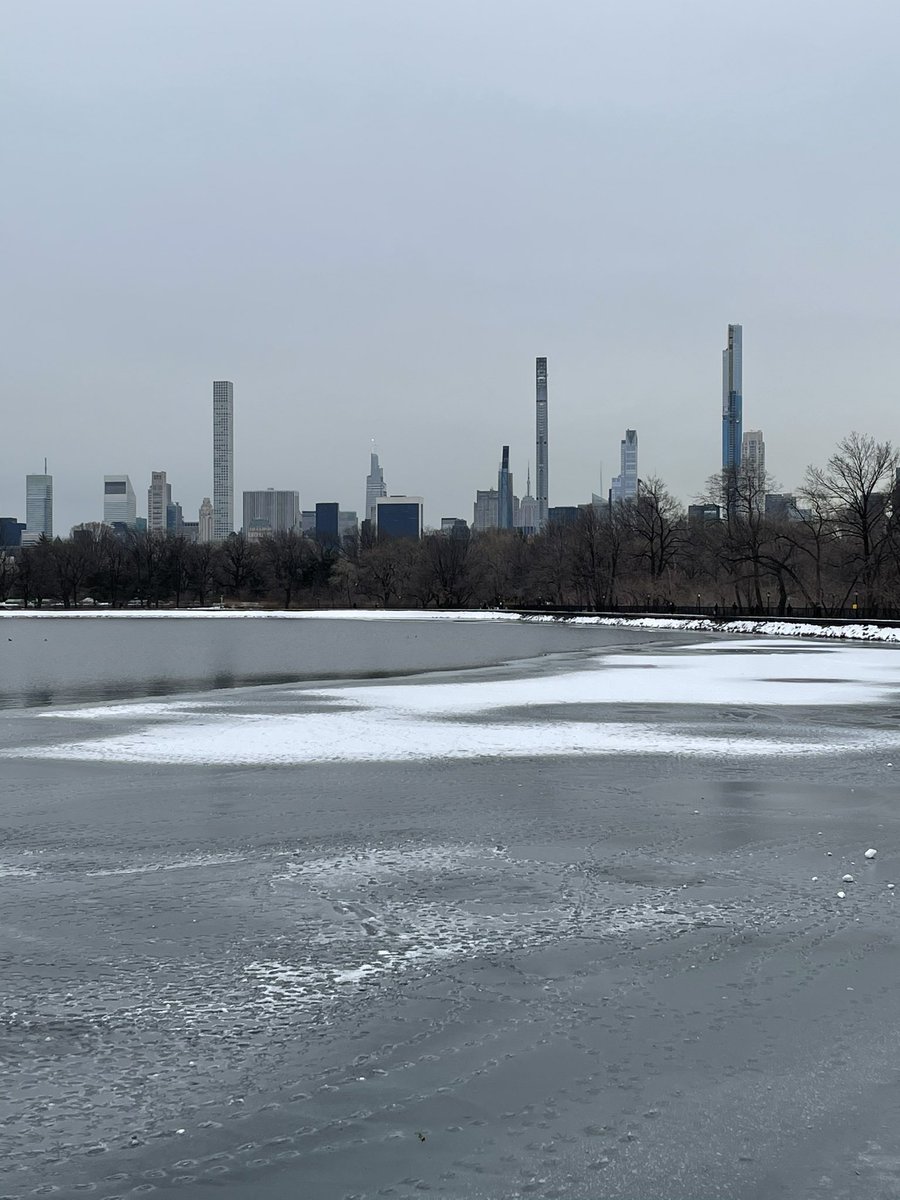 vs1942's tweet photo. Feb 14, 2021. NYC. ❄️ @CentralParkNYC #mycentralpark #nyc #SaintValentine https://t.co/4ZoBlKlpDL