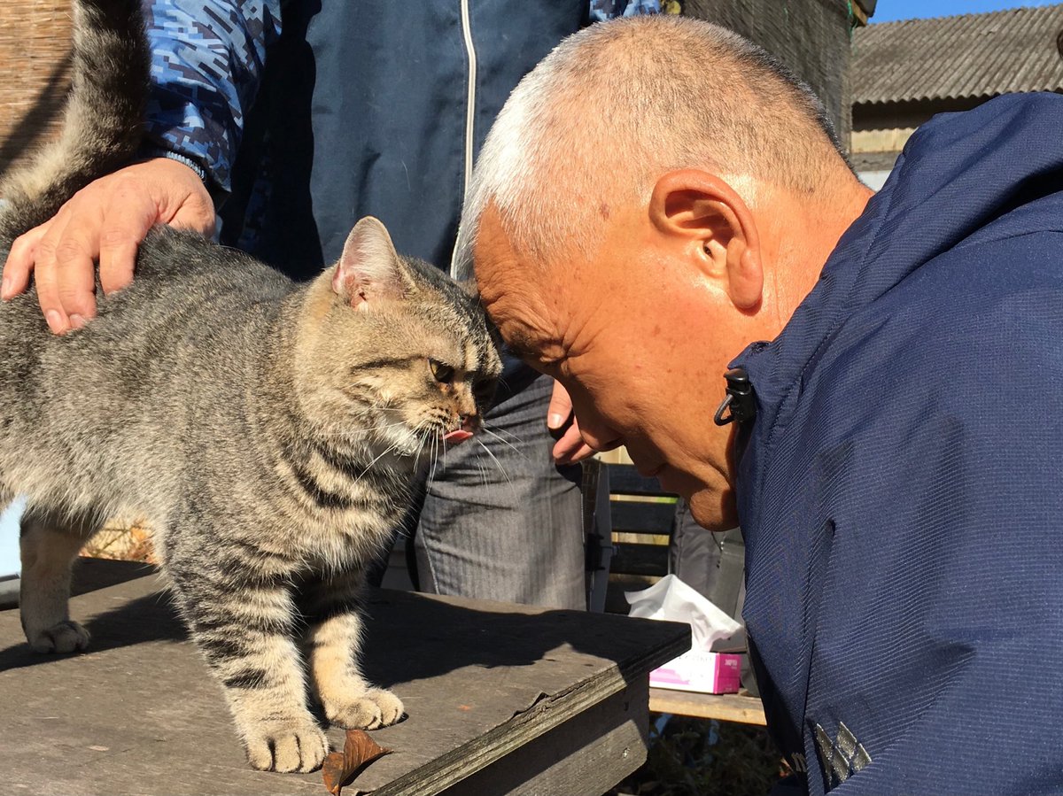 本日 Bsテレ東 17 58 00 ねことじいちゃん が放送されます 番組の都合上10分ほど 岩合光昭さんのtwitterで話題の画像 本日 Bsテレ東 17 58 00 ねことじいちゃん が放送されます 番組の都合上10分ほど 岩合光昭さんのtwitterで話題の画像