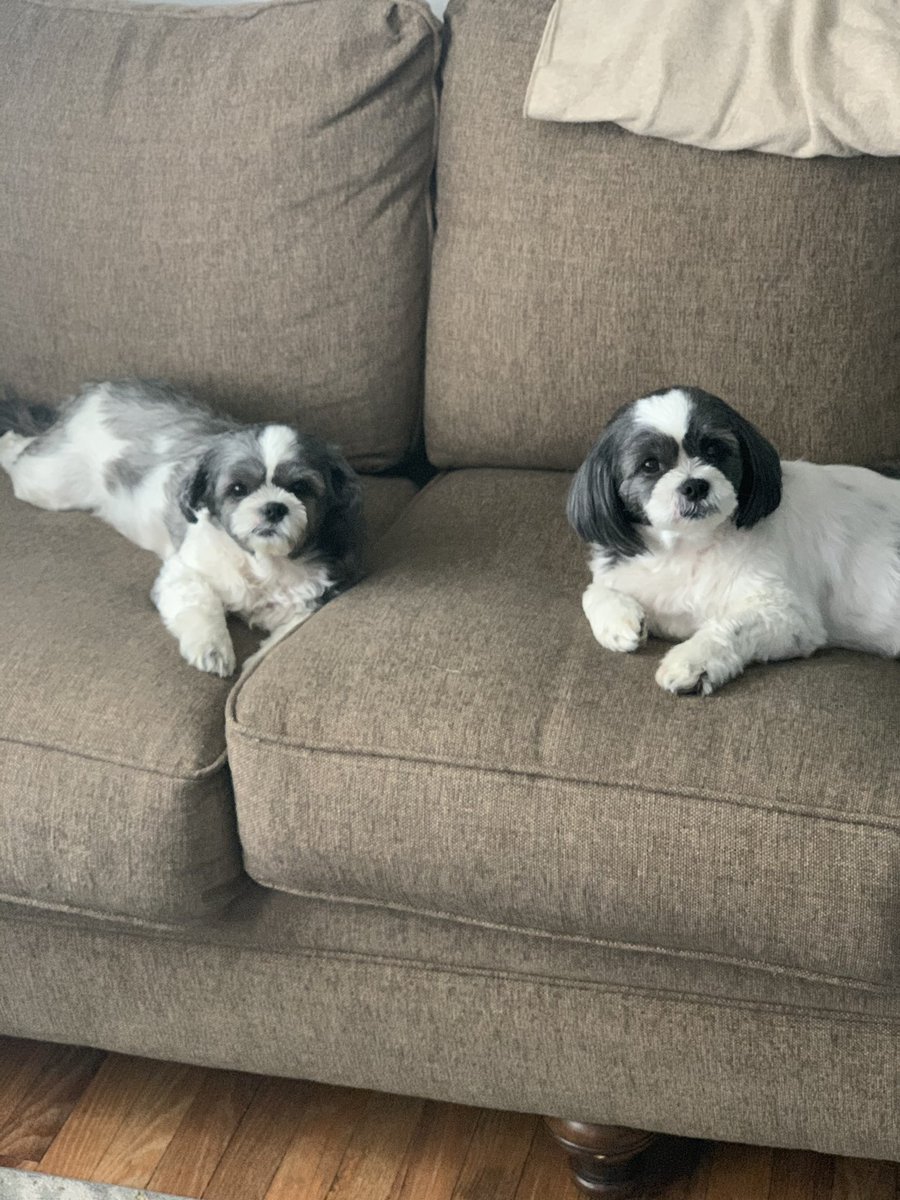 JaBosslady40's tweet photo. @ravenscimaven Meet Carley &amp; Teighlor  💛💕✨ https://t.co/jTWbUWA2xB