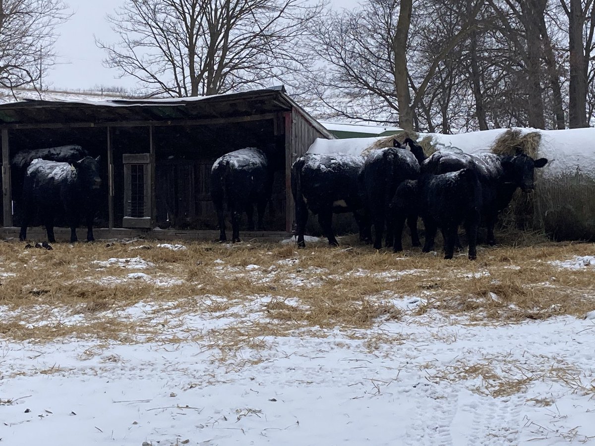 Dan Schuster tweet media