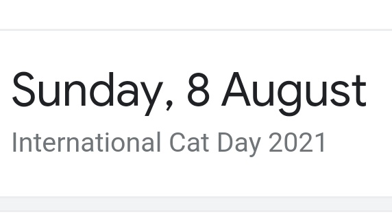 until we get scaramouche canon birthday im hcing it to be 8/8 because thats international cat day https://t.co/JhXrPwdpys https://t.co/pmG5TUvy70