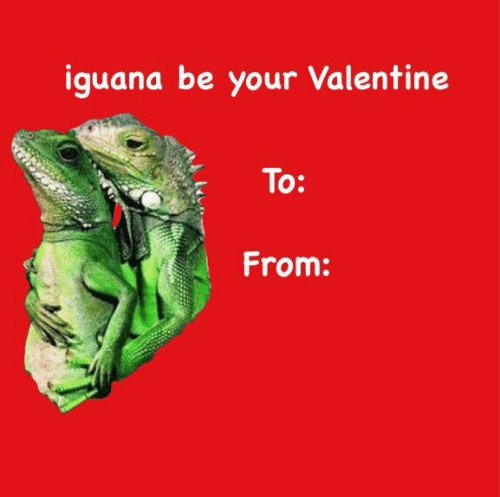 _Traci13_'s tweet image. A mysterious valentine shows up for @Planeshifts