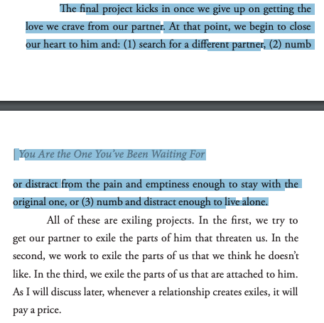 "The final project kicks in once we give up.... At that point, we begin to close our heart to him and: (1) search for a different partner, (2) numb or distract from the pain and emptiness enough to stay with the original one, or (3) numb and distract enough to live alone."