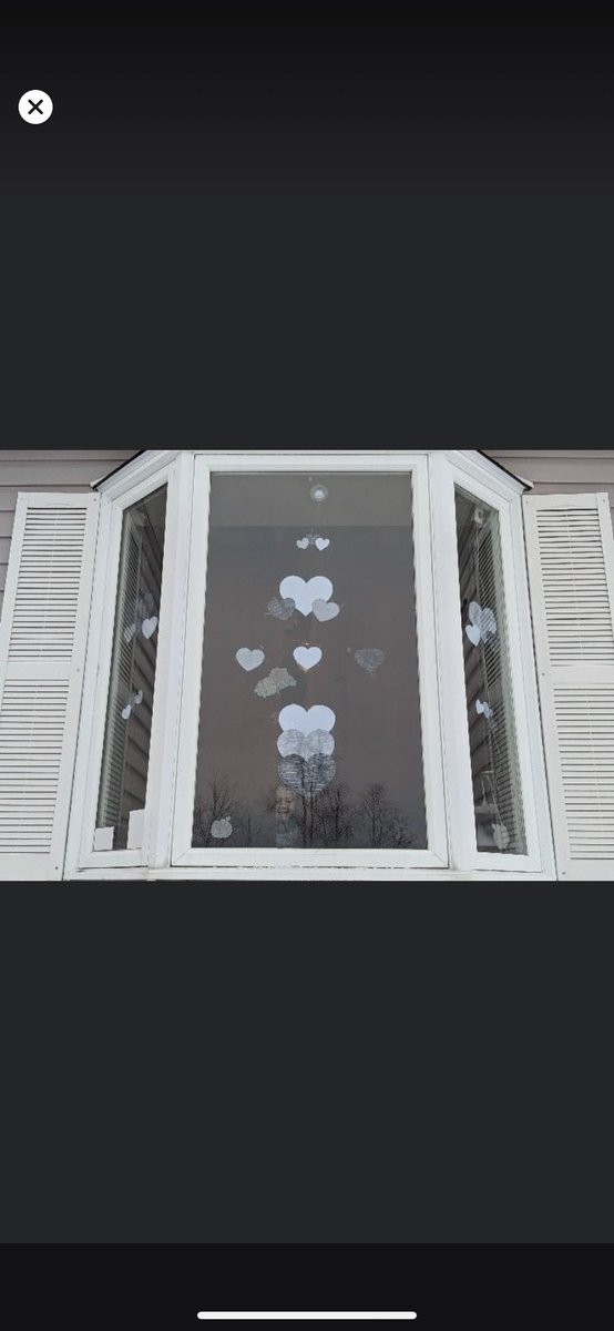 LakeMelvilleLab's tweet photo. Our #windowwisdomNL pics are coming in already! @NLESDCA @GonzagaVikings we hope you are feeling our support all the way from the #BigLand #LMSTitansPride https://t.co/m20GUC4d9Y