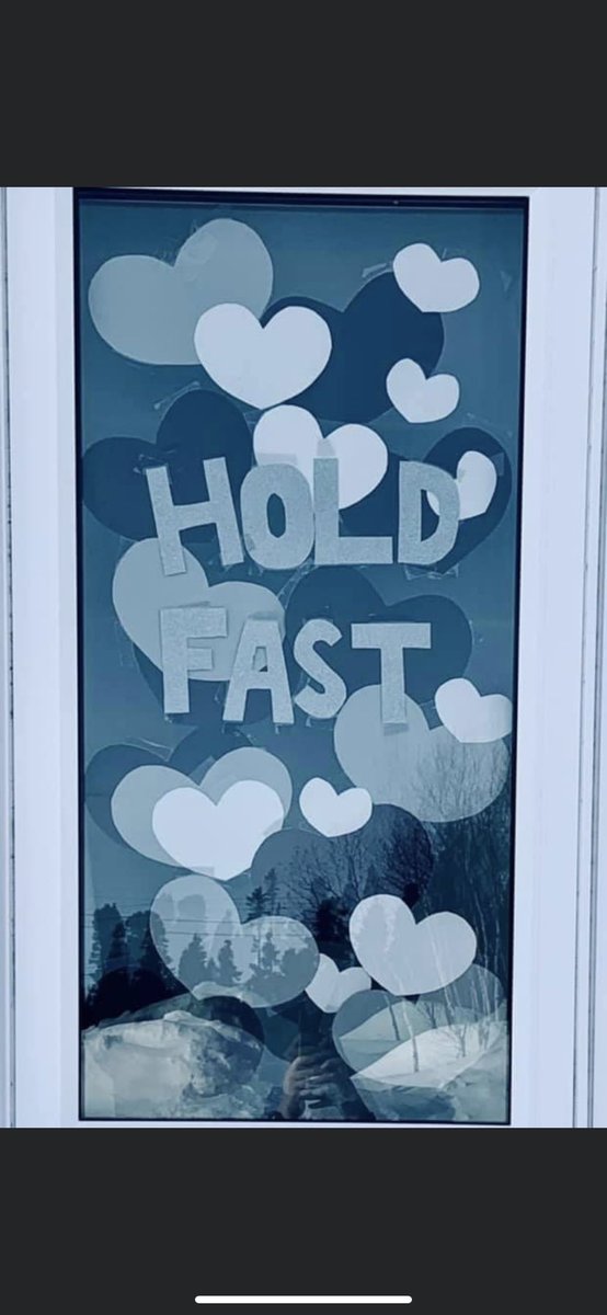 LakeMelvilleLab's tweet photo. Our #windowwisdomNL pics are coming in already! @NLESDCA @GonzagaVikings we hope you are feeling our support all the way from the #BigLand #LMSTitansPride https://t.co/m20GUC4d9Y