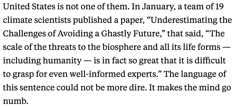 More gorgeous writing from  @lizweil, from here to the end of the piece. I think she achieved something great here. Anyway, judge me, don't judge me, whatever. Just please act.