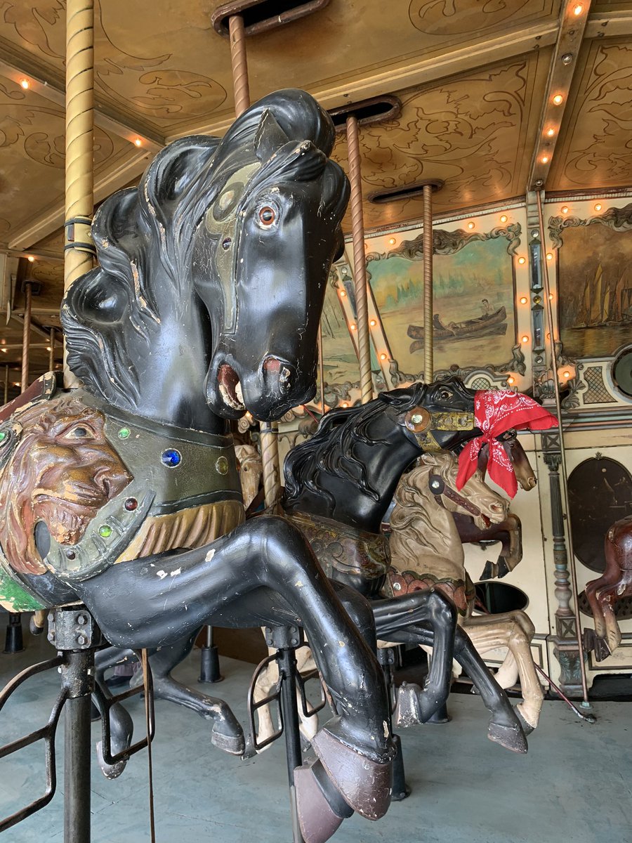 Some of the horses had bandanas on their noses, like masks