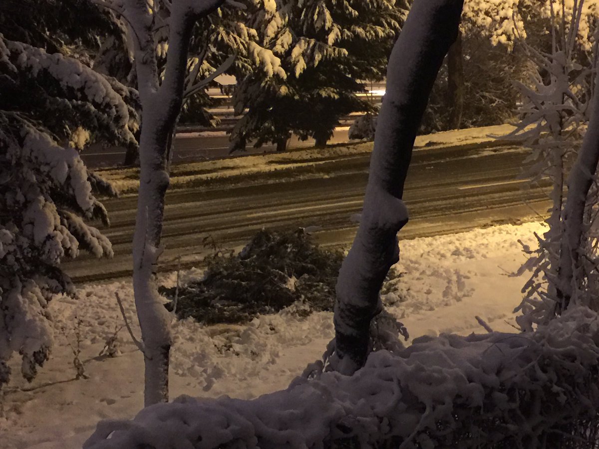 Gece saat 01:57 <a href="/uskudarbld/">Üsküdar Belediyesi</a> geldi ağacı kesip gitti... 😱 pes. Belli ki caktirmadan yavaş yavaş bütün ağaçlar kesilecek.. Sebep? Yer: 1.Köprü çıkışı, Acibadem sapağı..