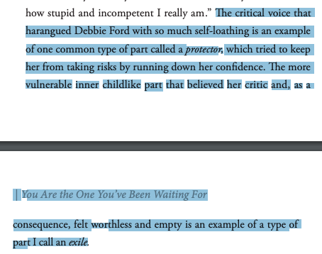 "The critical voice that harangued Debbie Ford with so much self-loathing is an example of one common type of part called a protector, which tried to keep her from taking risks by running down her confidence."