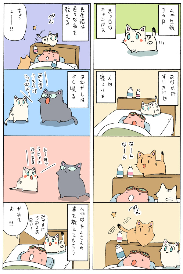 老猫と子猫が一緒に暮らしたら⑭

まとめ読みはこちら
まんぷく遊々記
https://t.co/9QV4FAp4Kv 