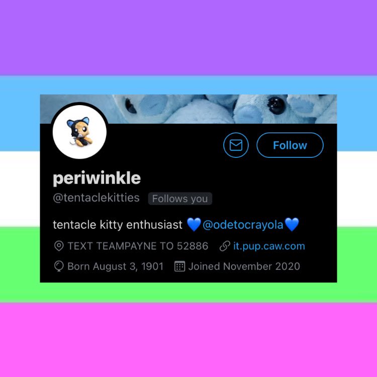 quasihomosexuaI's tweet photo. User @tentaclekitties is #quasisexual !! https://t.co/KRGCq17vlS