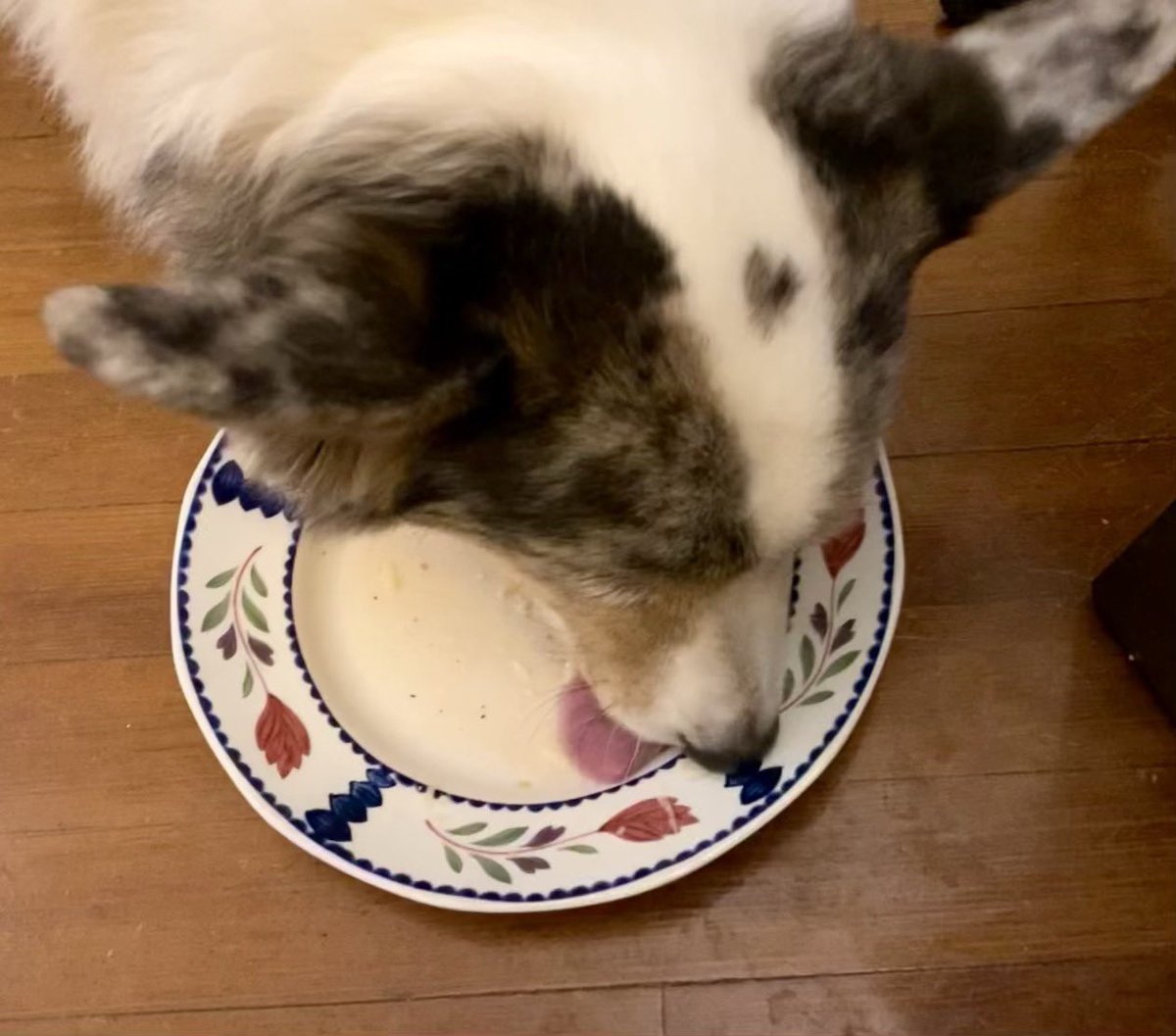 GoesByElizabeth's tweet image. “[Kindness is] helpfulness towards someone in need, not in return for anything, nor for the advantage of the helper himself, but for that of the person helped.”  -Aristotle