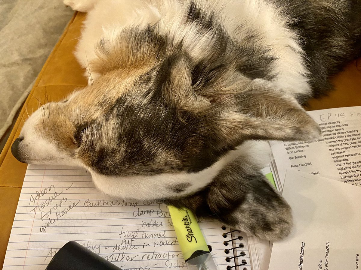 GoesByElizabeth's tweet image. “[Kindness is] helpfulness towards someone in need, not in return for anything, nor for the advantage of the helper himself, but for that of the person helped.”  -Aristotle