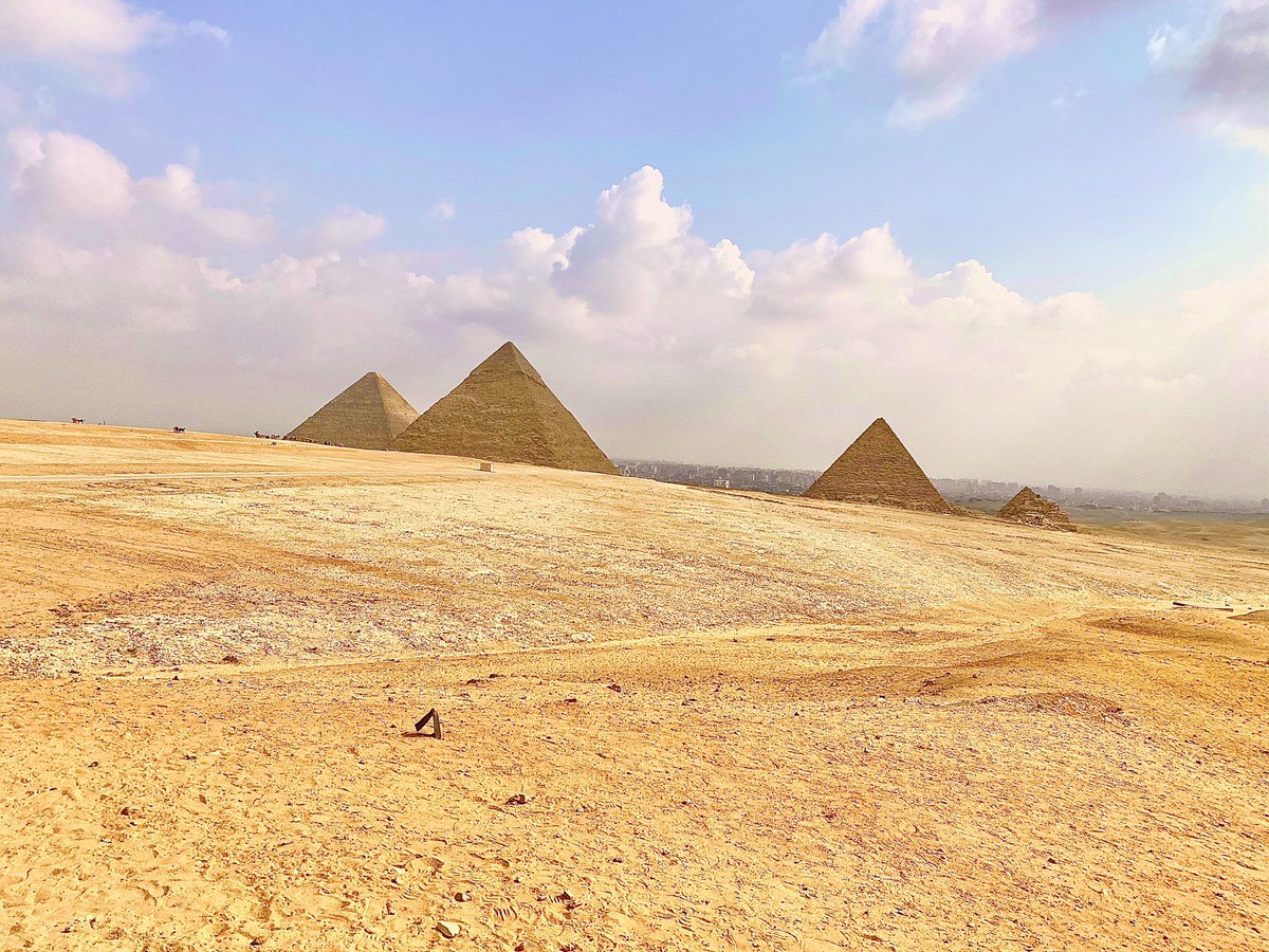 The Grand Egyptian Museum -GEM tweet media