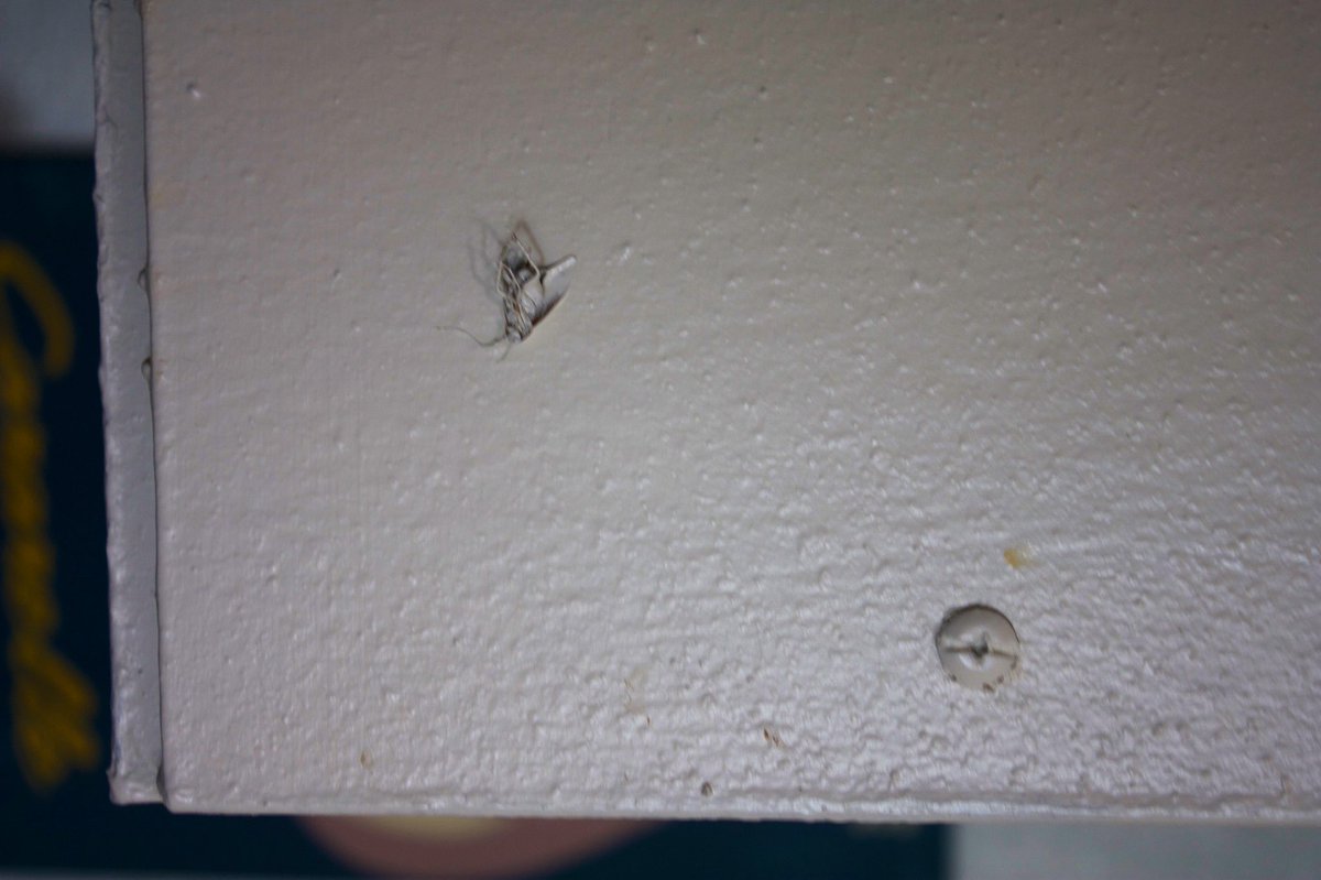 yikesambs's tweet photo. @smallestslime I deadass have roaches painted on my cabinets https://t.co/oYsr8VrWrO
