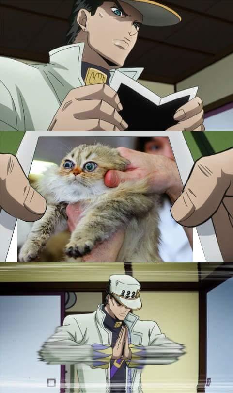 ShitpostBot 5000 (@shitpostbot5000) on Twitter photo 