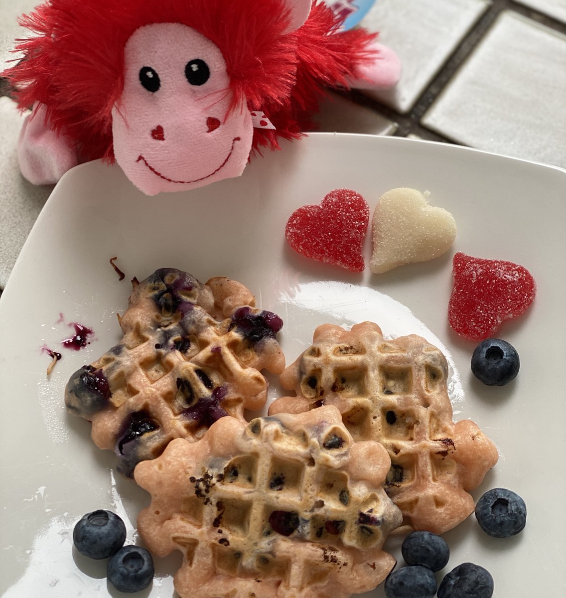 JenniferCorday's tweet photo. Happy Valentines Day! This little love monkey made me pink blueberry waffles! #lovemonkey #blueberrywaffles #blueberrypancakes #happyvalentinesday #jennifercorday https://t.co/pcx9pWm2W9