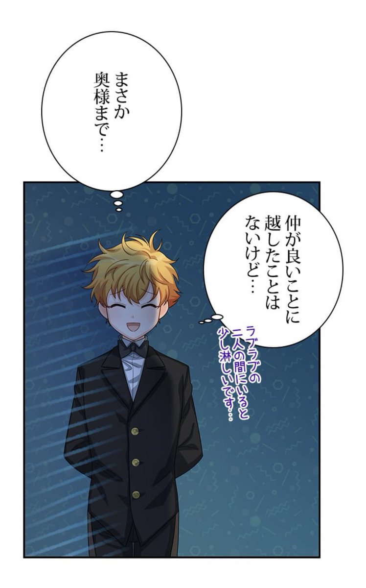 開店記念セール！】 330 かりそめの公爵夫人 件 2 かりそめの公爵夫人