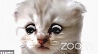 It’s been a horrible week. Thank you to the God of the Universe who sent me the Cat Lawyer Video to keep me alive these last seven days.“I’m prepared to go forward it it. I am here live. I am not a cat.”