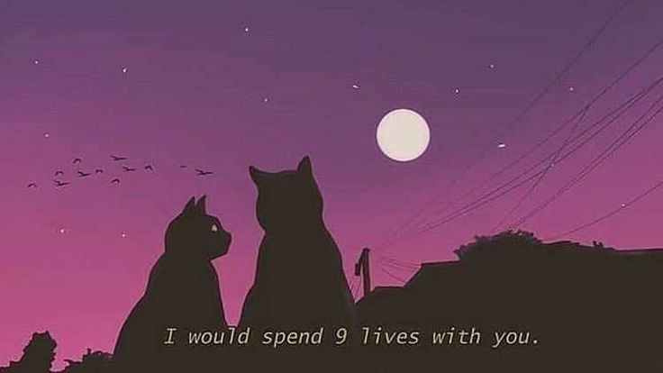 cozycastle's tweet photo. goodnight 🌌 https://t.co/iTQ8PSSkqj