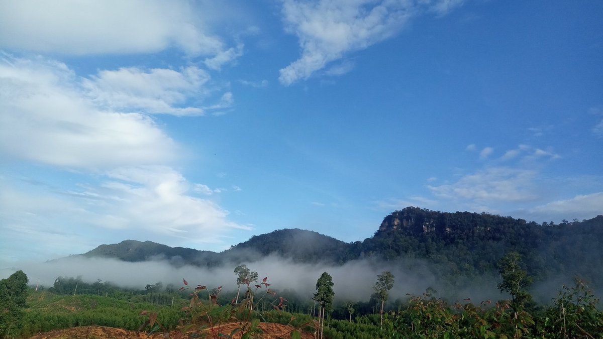 Monang_Mars's tweet photo. Selamat pagi Indonesia...😊😊
Pagi ini Pemandangan di Sebakis, Tarakan, Kalimantan Utara https://t.co/ZzI1HNuQ1w
