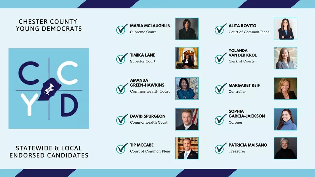 chescoyoungdems's tweet photo. 📣 Our endorsed candidates for 2021 https://t.co/TDcmwAAJ6l
