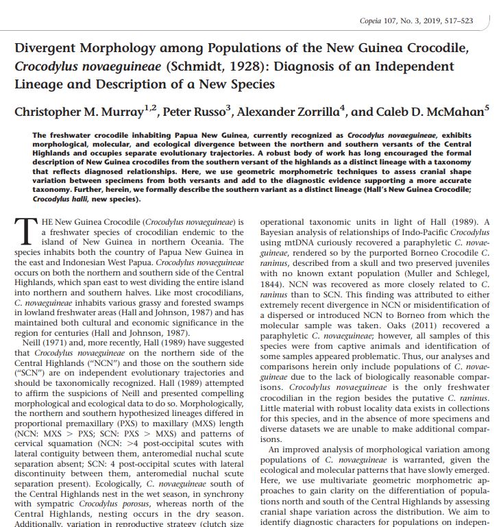 I should add the additional point of interest here that some of the  #crocodiles previously labelled ‘New Guinea crocodiles’ are now recognised as a second species: Hall’s crocodile (C. halli), officially named in 2019…