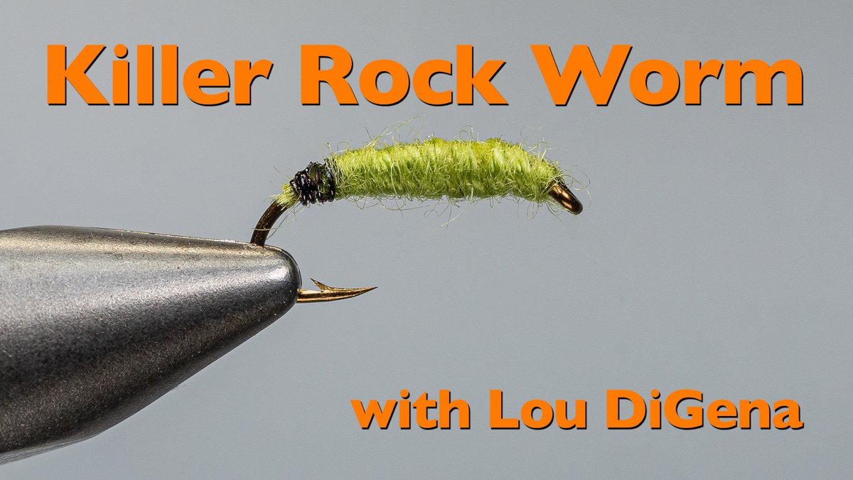FlyandFin's tweet photo. Killer Rock Worm with Lou DiGena https://t.co/PlZaBuEQTf #flyting #flyfishing #killerbug #greenrockworm #simpleflies #caddislarva #larva #caddis https://t.co/ybYikmFZHh