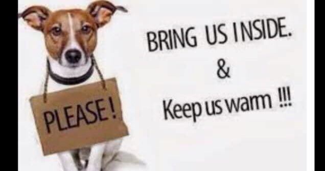 Peggy Coker tweet media