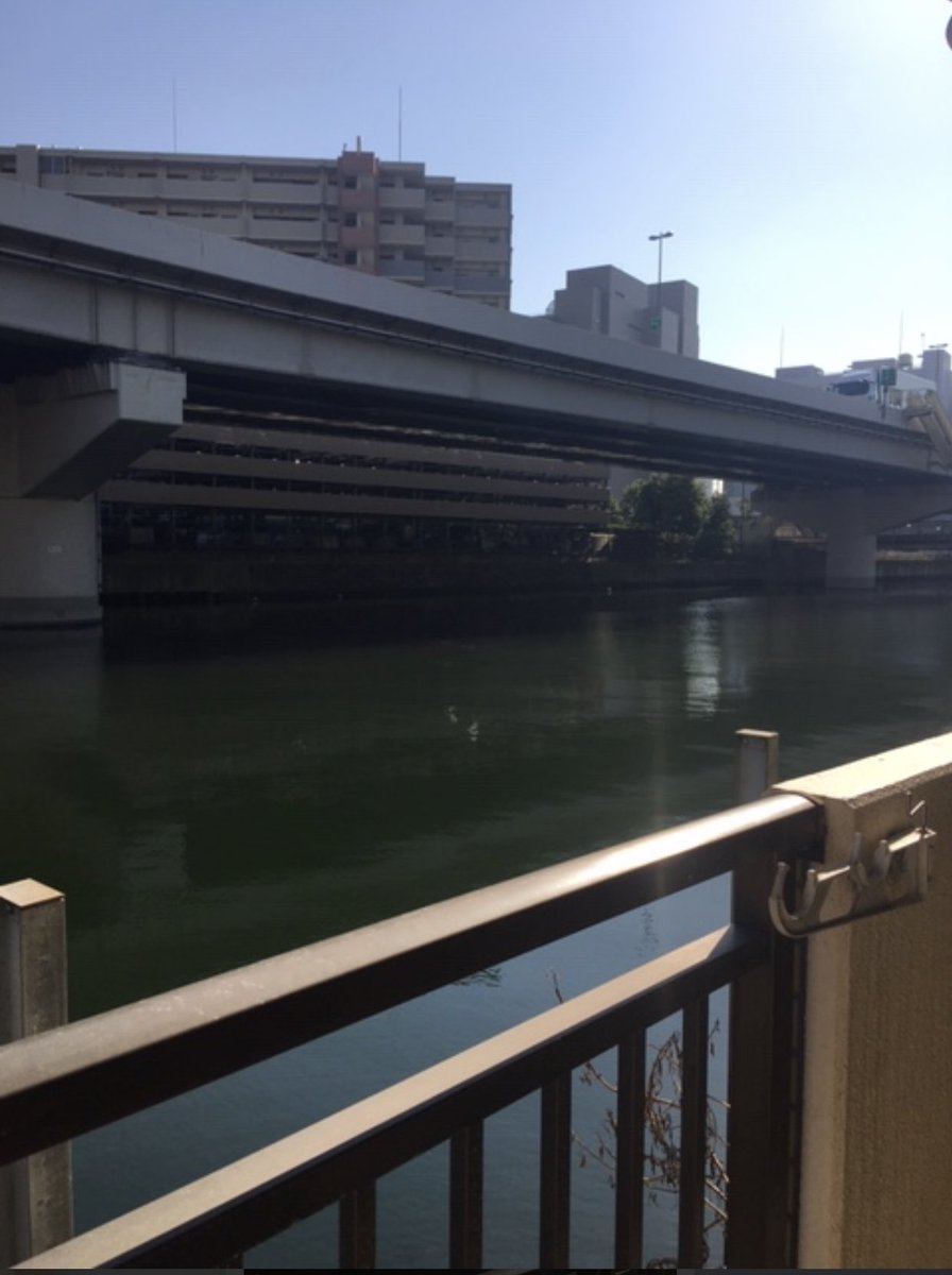 この物件ベランダから釣りできるやん 