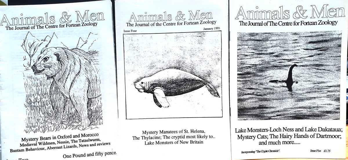 Its existence became a regular talking point in discussions, and A&M – relevant issues shown here – went through a period of several months whereby the editor (Jon Downes) would explain his exasperated efforts to get hold of it…  #cryptozoology