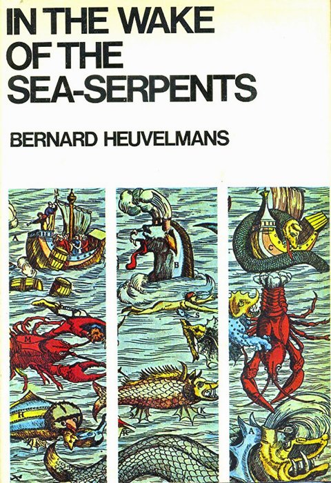 Perhaps, Heuvelmans noted in a letter, the Migo might be one and the same as the ‘many-finned sea serpent’ (shown here), the existence of which Heuvelmans had postulated in his famous 1968 book In the Wake of the Sea-Serpents…  #cryptozoology  #seamonsters